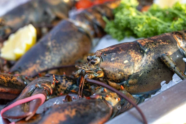 Sea fresh lobster at street market in Thailand. Seafood concept. Raw lobster for cooking, closeup — Stock Photo, Image