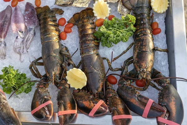 Sea fresh lobster at street market in Thailand. Seafood concept. Raw lobster for cooking, closeup — Stock Photo, Image