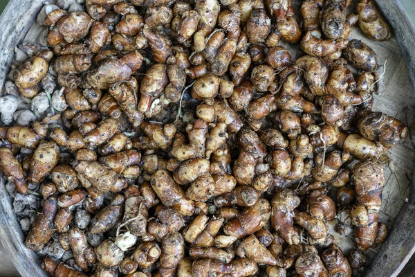 Raíz de jengibre para vender en el mercado callejero en Ubud, isla Bali, Indonesia. Primer plano. — Foto de Stock