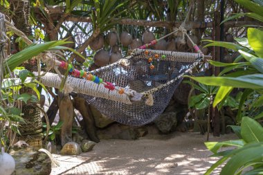 Deniz suyu Tayland yakınındaki güzel tropikal plajda boş hamak