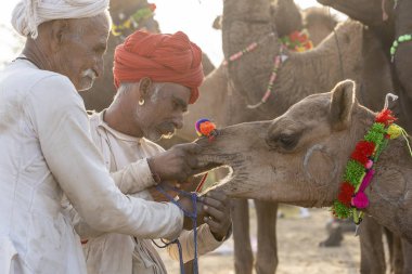 Pushkar Camel Mela, Rajasthan, Hindistan sırasında Hintli adam ve solana