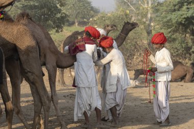 Pushkar Camel Mela, Rajasthan, Hindistan sırasında Hintli adam ve solana