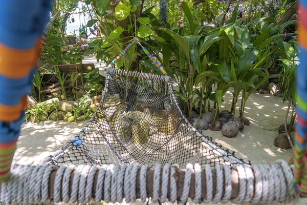 Deniz suyu Tayland yakınındaki güzel tropikal plajda boş hamak