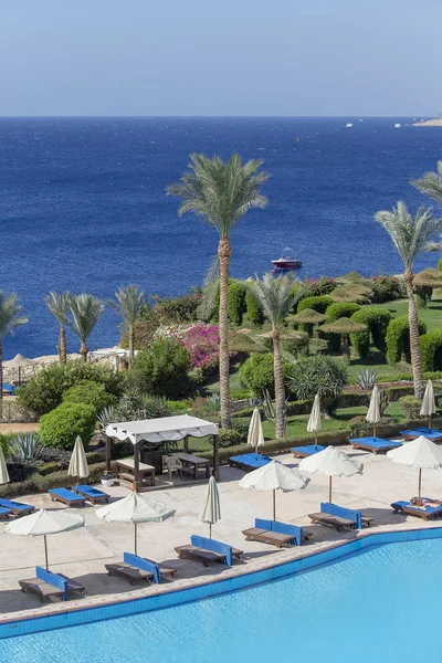 Πισίνα νωρίς το πρωί δίπλα στην Ερυθρά θάλασσα στο ξενοδοχείο του θερέτρου στο Σαρμ Ελ Σέιχ, Νότιο Σινά, Αίγυπτος — Φωτογραφία Αρχείου