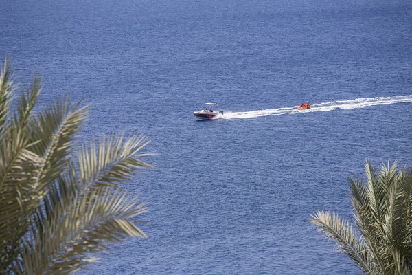 Barco a motor monta turistas em um colchão inflável no Mar Vermelho, perto da praia, na cidade resort de Sharm El Sheikh, Egito — Fotografia de Stock
