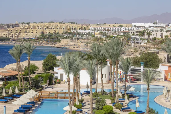Piscina no início da manhã ao lado do mar vermelho no hotel resort em Sharm El Sheikh, Sinai do Sul, Egito — Fotografia de Stock