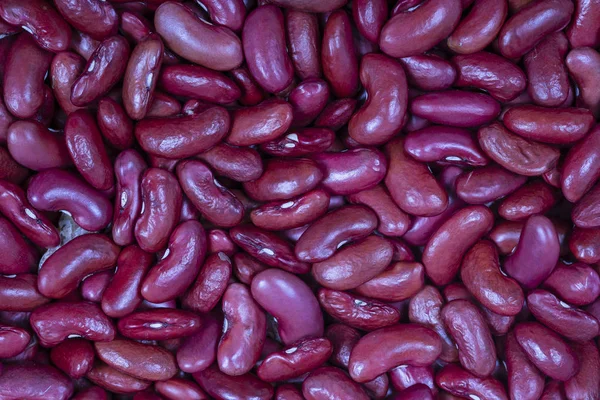 Antecedentes de muchos granos de frijoles secos. Textura de frijoles rojos. Fondo alimenticio. De cerca. Fondo y textura de frijol — Foto de Stock