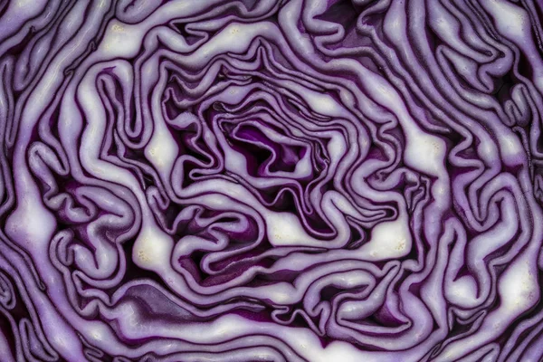 Background of the blue cabbage in the cut. Close up, top view. Texture raw purple cabbage — Stock Photo, Image