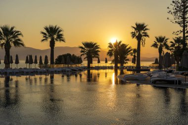 Denize yakın lüks otel beldesinde siluet hindistan cevizi palmiye ağacı ve yüzme havuzu ile büyülü gündoğumu. Güzel sabah deniz manzarası