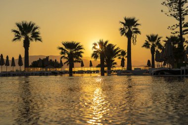 Denize yakın lüks otel beldesinde siluet hindistan cevizi palmiye ağacı ve yüzme havuzu ile büyülü gündoğumu. Güzel sabah deniz manzarası