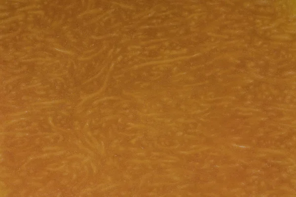 Żółta dynia przecięte na pół ze strukturą miąższu. Plasterki dyni tło zbliżenie, widok z góry — Zdjęcie stockowe