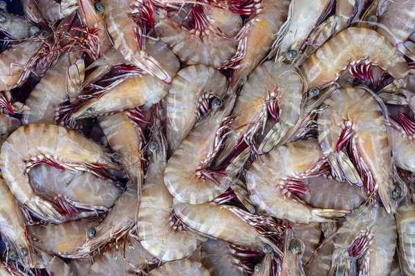 Tayland sokak pazarında deniz taze karidesler. Deniz ürünleri konsepti. — Stok fotoğraf