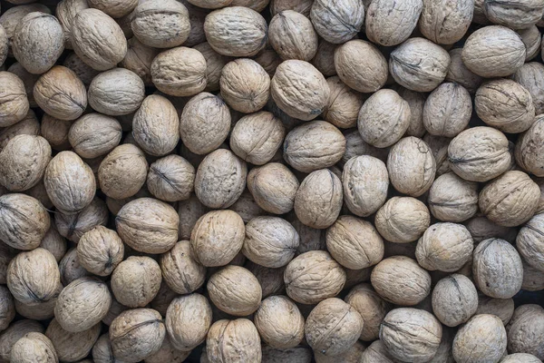 Textura de patrón de fondo de nuez natural Fondo de patrón de montón de nueces abstractas. Nueces en cáscara — Foto de Stock