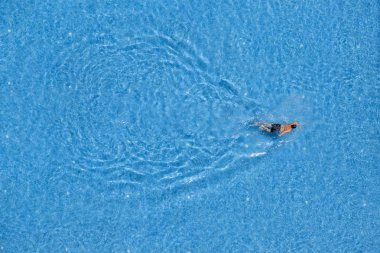 Havuzda yüzen bir adam, üst manzara.