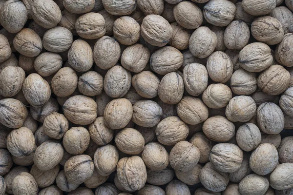 Přírodní ořechy pozadí vzor textura Abstraktní vlašské ořechy haldy vzor pozadí. Vlašské ořechy ve skořápce — Stock fotografie