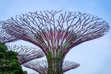 Singapur 'da gündüz vakti körfez kenarındaki bahçelerde renkli süperağaçlar.
