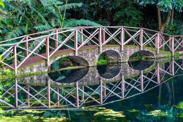 Bågbro Sjö Med Eftertanke Tanzania Östra Afrika Gångbro Över Damm — Stockfoto