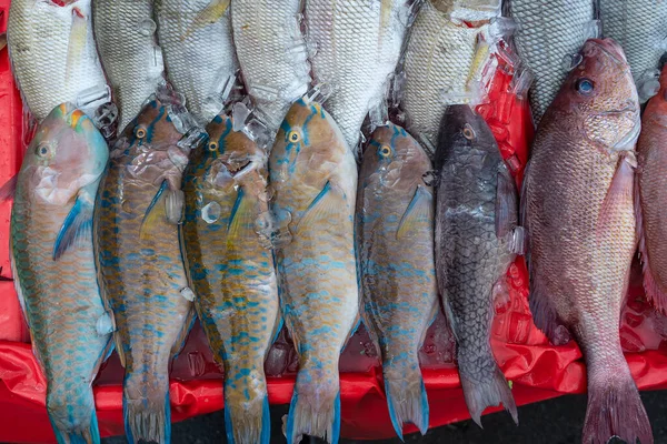 Pesce Mare Fresco Vendita Presso Mercato Alimentare Strada Kota Kinabalu — Foto Stock