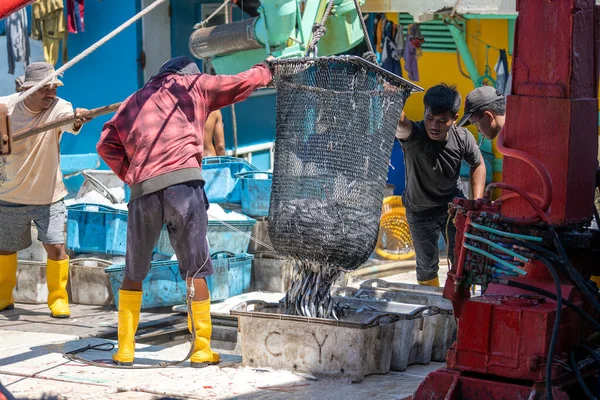 Kota Kinabalu Malesia Febbraio 2020 Pescatori Malesi Caricano Pesce Appena — Foto Stock