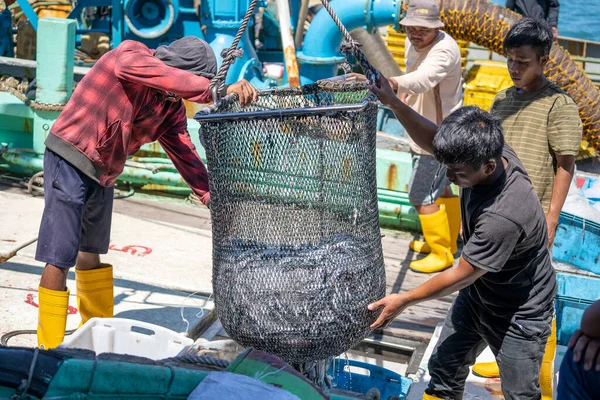 マレーシアのコタキナバル 2020年2月25日マレーシアのサバ州コタキナバルのストリートフィリピン市場で 漁船から獲れた新鮮な魚をプラスチック容器に入れる — ストック写真