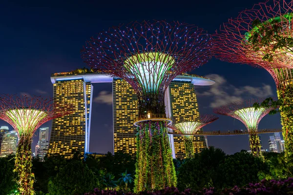 Singapur Singapur Luty 2020 Hotel Marina Bay Sands Kolorowe Superdrzewa — Zdjęcie stockowe