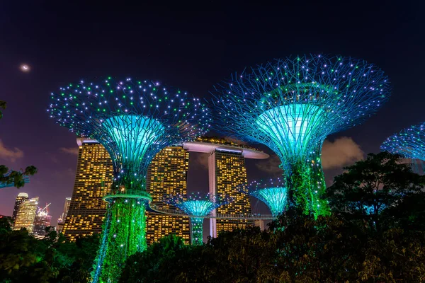 Singapur Singapur Luty 2020 Hotel Marina Bay Sands Kolorowe Superdrzewa — Zdjęcie stockowe