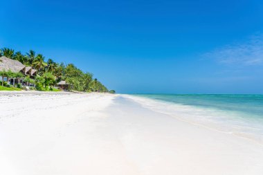 Doğu Afrika, Tanzanya 'daki Zanzibar adasında deniz kenarında hindistan cevizi palmiyeleri olan tropik kumsal. Seyahat ve tatil kavramı