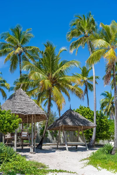 坦桑尼亚桑给巴尔岛上的热带海滩上有椰子树 旅行和休假概念 — 图库照片