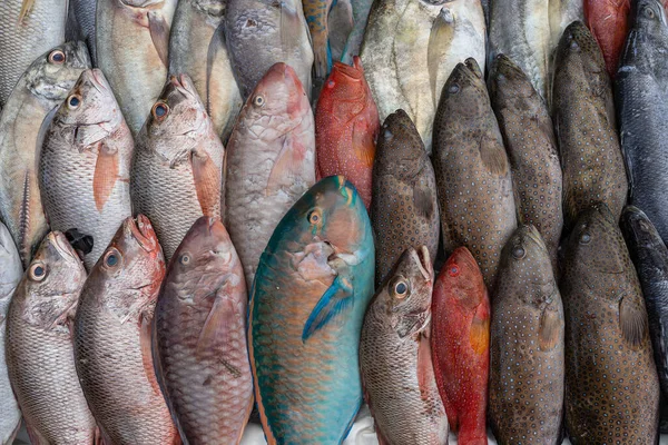 Pescado Mar Fresco Venta Mercado Alimentos Callejeros Kota Kinabalu Isla —  Fotos de Stock