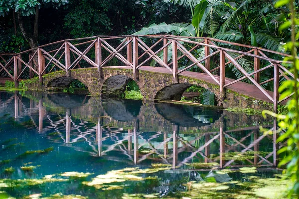 Most Łukowy Jeziorze Odbiciem Tanzania Afryka Wschodnia Kładka Nad Stawem — Zdjęcie stockowe
