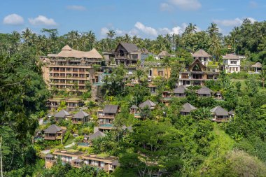 BALI, INDONEZYA - Mart 02, 2019: Orman, tropikal yağmur ormanı ve dağlar, Ubud, ada Bali, Endonezya panoramik manzaralı geleneksel Bali evleri