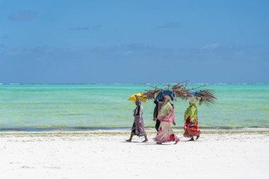 Zanzibar, Tanzanya - 11 Kasım 2019: Afrikalı kadınlar Doğu Afrika 'daki Tanzanya' nın Zanzibar adasında deniz kenarındaki kumsalda tahta çubuklar taşıyorlar