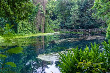 Doğu Afrika 'da, Tanzanya' da, tropikal bir ormandaki bir gölde kemerli köprü. Gölün üzerinde bir köprü