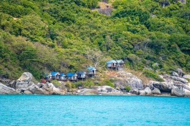 Yeşil ağaçları olan güzel bir koy ve Tayland 'daki Koh Phangan adasında dağ ve deniz suyunda eski ahşap bungalovlar.