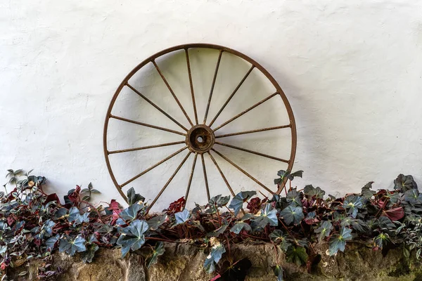 Old Metal Wheel Used Part Exterior Decoration White Wall Vegetation — Stockfoto