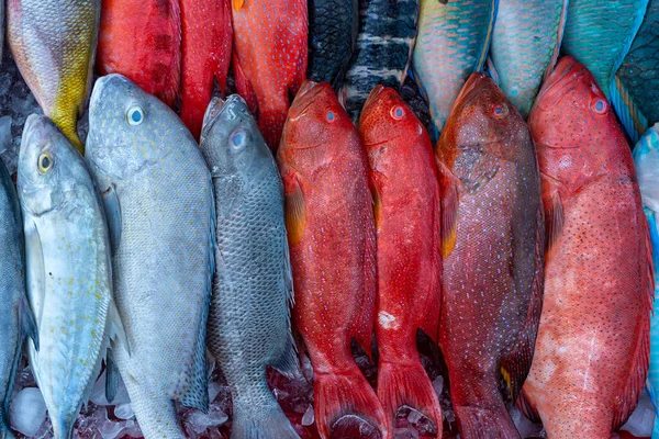 Pescado Mar Fresco Venta Mercado Alimentos Callejeros Kota Kinabalu Isla — Foto de Stock