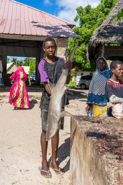 Zanzibar Tanzania November 2019 African Guy Holds Freshly Caught Shark — Stock Photo, Image