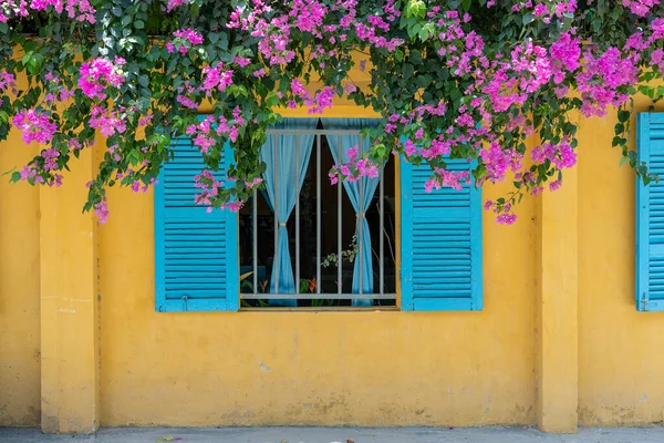 Beautiful Pink Flowers Window Blue Shutters Yellow Old Wall Street — Stock Photo, Image