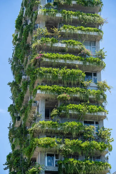 Fasada Budynków Ekologicznych Zielonych Roślin Kwiatów Wysokiej Kamiennej Ścianie Fasady — Zdjęcie stockowe
