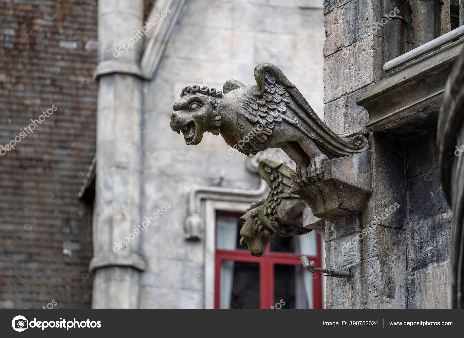 Gothic Gargoyles Castle