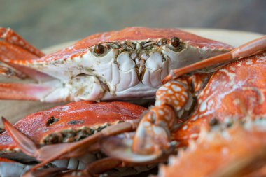 Doğu Afrika, Tanzanya 'daki Zanzibar adasında, plaj kafesinde kaynamış yengeçler.