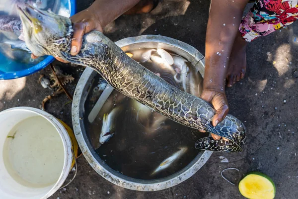 Mujer Africana Prepara Morenas Para Venta Mercado Local Alimentos Isla — Foto de Stock