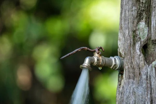Running water from a tap in old tree background. Water consumption and usage concept in tropical island Borneo, Malaysia. Close up