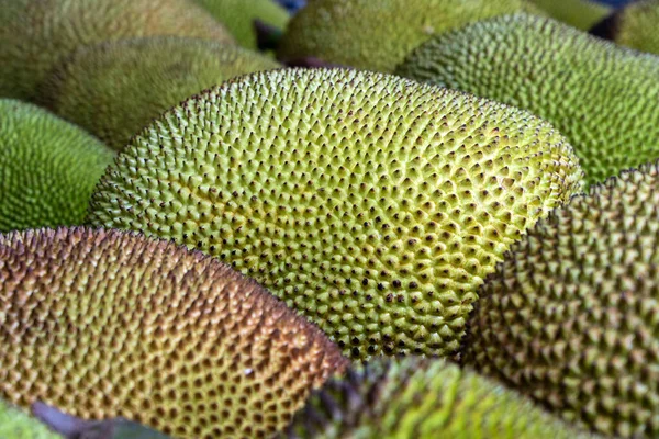 Surowy Jackfruit Sprzedaż Lokalnym Rynku Ulicznym Kota Kinabalu Wyspa Borneo — Zdjęcie stockowe