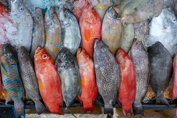 Pesce Mare Fresco Vendita Presso Mercato Alimentare Strada Kota Kinabalu — Foto Stock