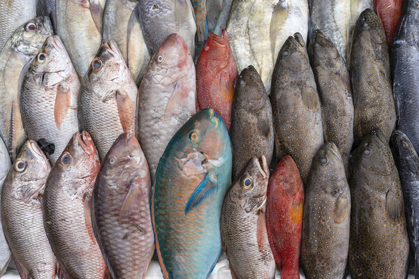 Морская рыба, продаваемая на рынке уличной еды в Кота-Кинабалу на острове Борнео, Малайзия, закрывается морепродуктами