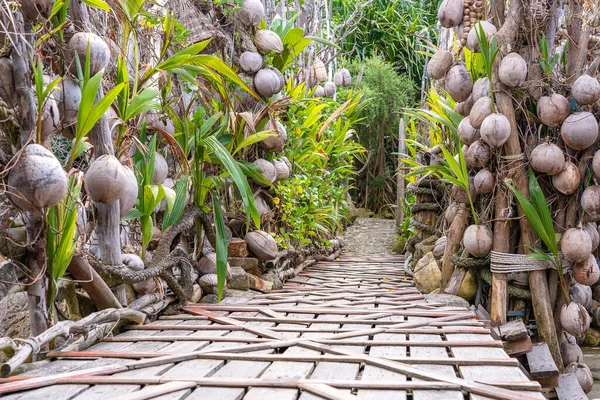 Uma Parede Cocos Velhos Uma Ponte Madeira Uma Praia Tropical — Fotografia de Stock