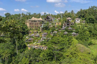 Orman, tropikal yağmur ormanı ve dağlar, Ubud, Bali Adası, Endonezya manzaralı geleneksel Balili evler