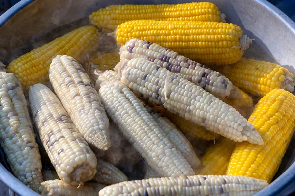 Gekochter Weißer Und Gelber Mais Zum Verkauf Auf Dem Street — Stockfoto