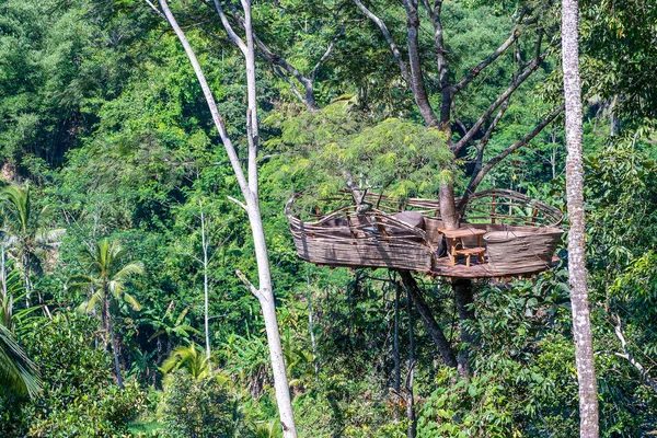 Extreme Recreation Area High Tropical Tree Jungle Rice Terraces Island — Stock Photo, Image